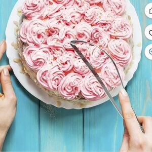 Orblue Professional Cake and Pie Stainless Steel Server!